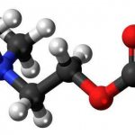 acetylcholine in the body