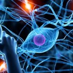 Нервная система: какие заболевания существуют