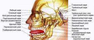Neuritis of the facial nerve: dangerous due to its consequences