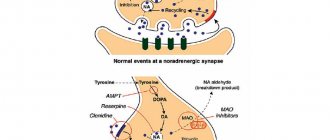Работа ингибитора МАО (норадренергический синапс)
