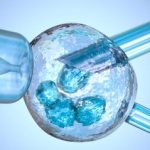 Multiple sclerosis and pregnancy: is it possible to do IVF?